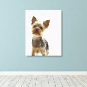 Yorkshire Terrier 2 Canvas Afdruk (Insitu (Houten vloer))