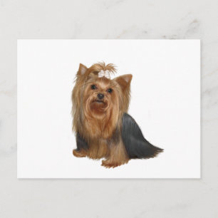 Yorkshire Terrier (7) Briefkaart