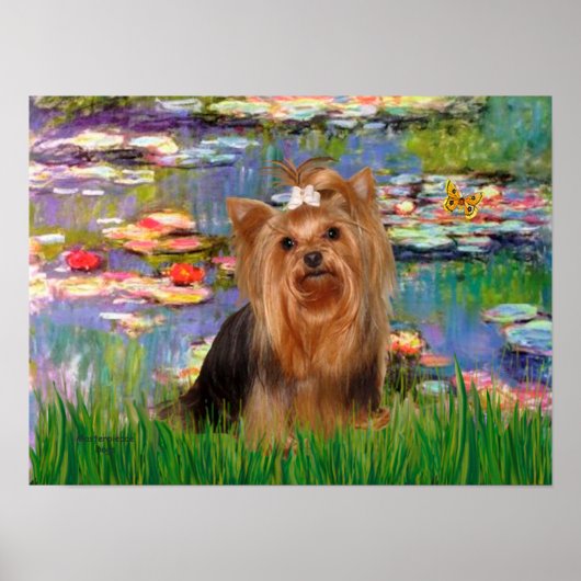 Yorkshire Terrier 7 - Waterlelies 2 Poster (Voorkant)