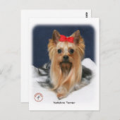 Yorkshire Terrier 9Y110D-019 Briefkaart (Voorkant / Achterkant)