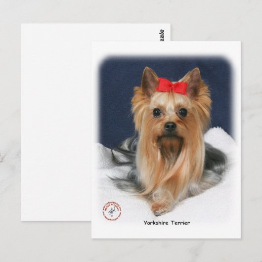 Yorkshire Terrier 9Y110D-019 Briefkaart (Voorkant / Achterkant)