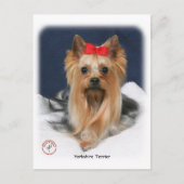 Yorkshire Terrier 9Y110D-019 Briefkaart (Voorkant)