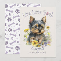 Yorkshire Terrier Adoptie, Gotcha Dag