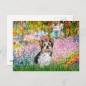 Yorkshire Terrier (Biewer) - Tuin Briefkaart (Voorkant / Achterkant)