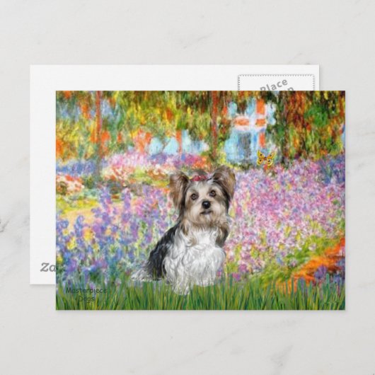 Yorkshire Terrier (Biewer) - Tuin Briefkaart (Voorkant / Achterkant)