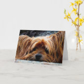 Yorkshire Terrier Blank Wenskaart Kaart (Gele Bloem)