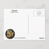 Yorkshire Terrier Briefkaart (Achterkant)