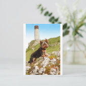 Yorkshire Terrier Briefkaart (Staand voorkant)