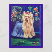 Yorkshire Terrier Briefkaart (Voorkant)