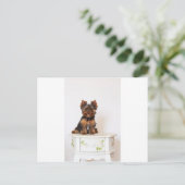 Yorkshire Terrier Briefkaart (Staand voorkant)