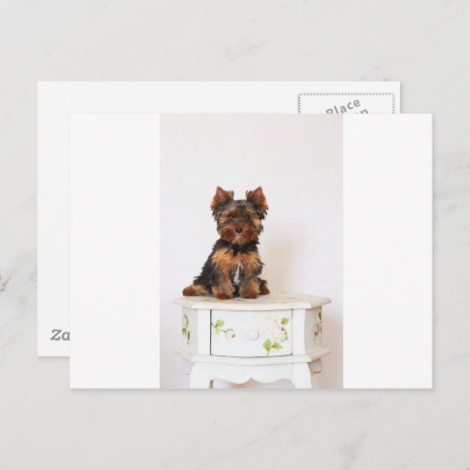 Yorkshire Terrier Briefkaart (Voorkant / Achterkant)