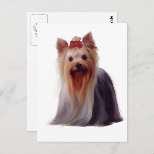 Yorkshire Terrier Briefkaart (Voorkant / Achterkant)