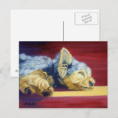 Yorkshire Terrier Briefkaart (Voorkant / Achterkant)