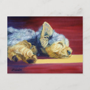 Yorkshire Terrier Briefkaart