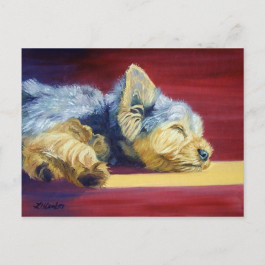 Yorkshire Terrier Briefkaart (Voorkant)