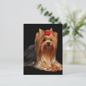 Yorkshire Terrier Briefkaart (Staand voorkant)