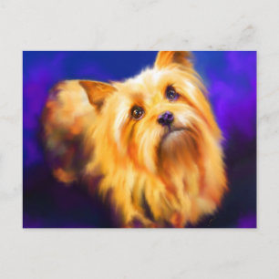 Yorkshire Terrier Briefkaart