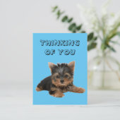 YORKSHIRE TERRIER BRIEFKAART (Staand voorkant)