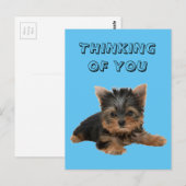 YORKSHIRE TERRIER BRIEFKAART (Voorkant / Achterkant)