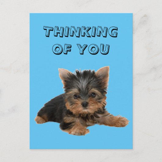 YORKSHIRE TERRIER BRIEFKAART (Voorkant)