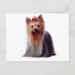 Yorkshire Terrier Briefkaart