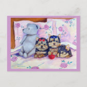 Yorkshire Terrier Briefkaart (Voorkant)