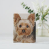 Yorkshire Terrier Briefkaart (Staand voorkant)