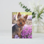 Yorkshire Terrier Briefkaart (Staand voorkant)