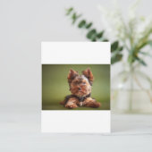 Yorkshire Terrier Briefkaart (Staand voorkant)