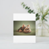 Yorkshire Terrier Briefkaart (Staand voorkant)