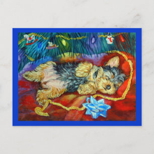 Yorkshire Terrier Briefkaart