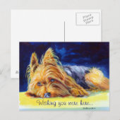 Yorkshire Terrier Briefkaarten (Voorkant / Achterkant)