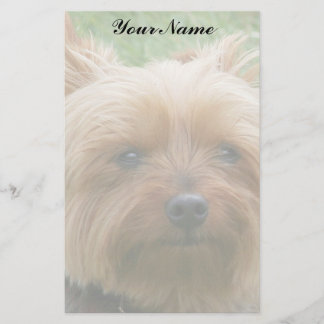 Yorkshire Terrier Briefpapier
