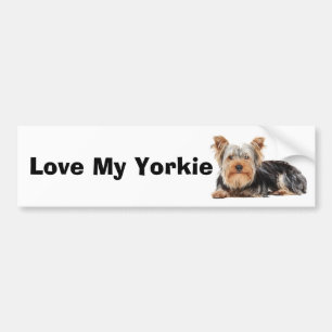Yorkshire Terrier Bumpersticker