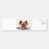 Yorkshire Terrier Bumpersticker (Voorkant)