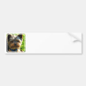 Yorkshire Terrier Bumperstickers (Voorkant)