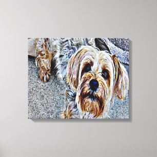 Yorkshire Terrier Canvas Afdruk