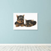 Yorkshire Terrier Canvas Afdruk (Insitu (Houten vloer))