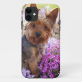 Yorkshire Terrier Carved Wood iPhone Case (Achterkant)