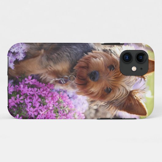 Yorkshire Terrier Carved Wood iPhone Case (Achterkant (horizontaal))