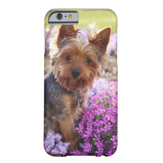 Yorkshire Terrier Barely There iPhone 6 Hoesje
