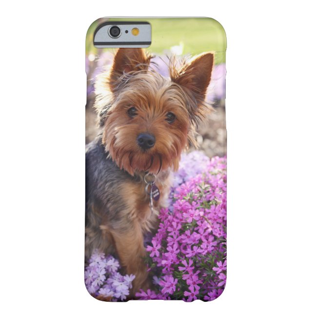 Yorkshire Terrier Case-Mate iPhone Case (Achterkant)