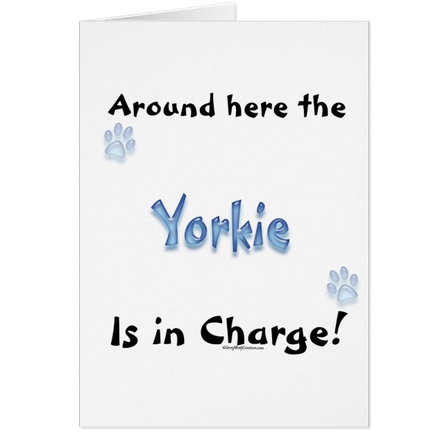 Yorkshire Terrier Charge (Voorkant)