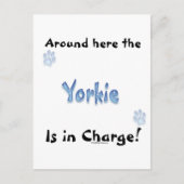 Yorkshire Terrier Charge Briefkaart (Voorkant)