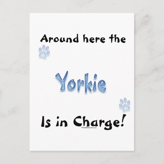 Yorkshire Terrier Charge Briefkaart (Voorkant)