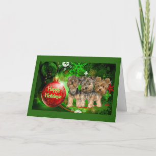 Yorkshire Terrier Christmas Kaart Red Ball