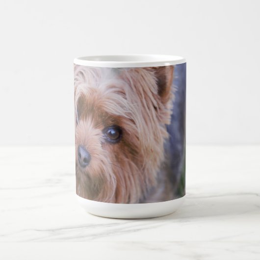 Yorkshire Terrier Closeup Coffee Mok (Center)