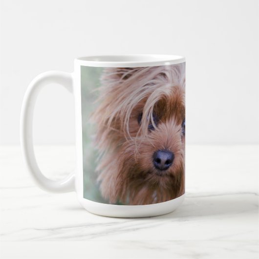 Yorkshire Terrier Closeup Coffee Mok (Links)