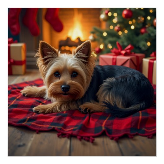 Yorkshire Terrier Cozy Christmas Evening Painting Perfect Poster (Voorkant)