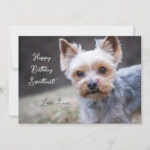 Yorkshire Terrier Custom Birthday Kaart (Voorkant)